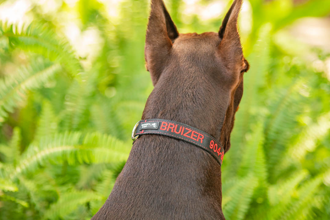 Kanine Chic Platinum Dog Collar