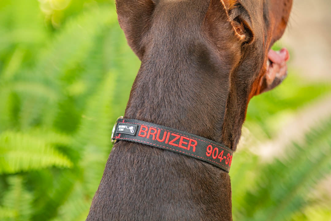 Kanine Chic Platinum Dog Collar