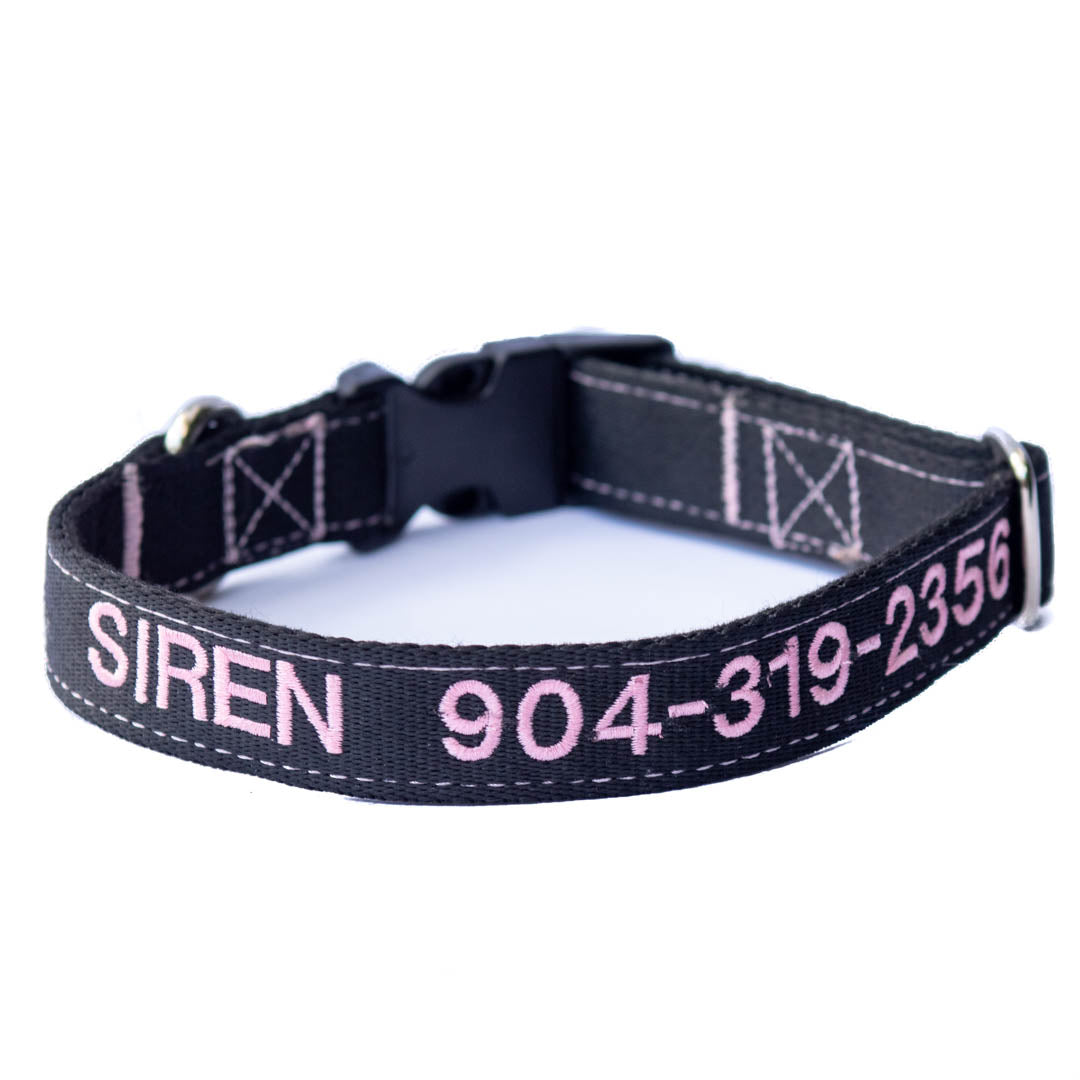 Kanine Chic Platinum Dog Collar