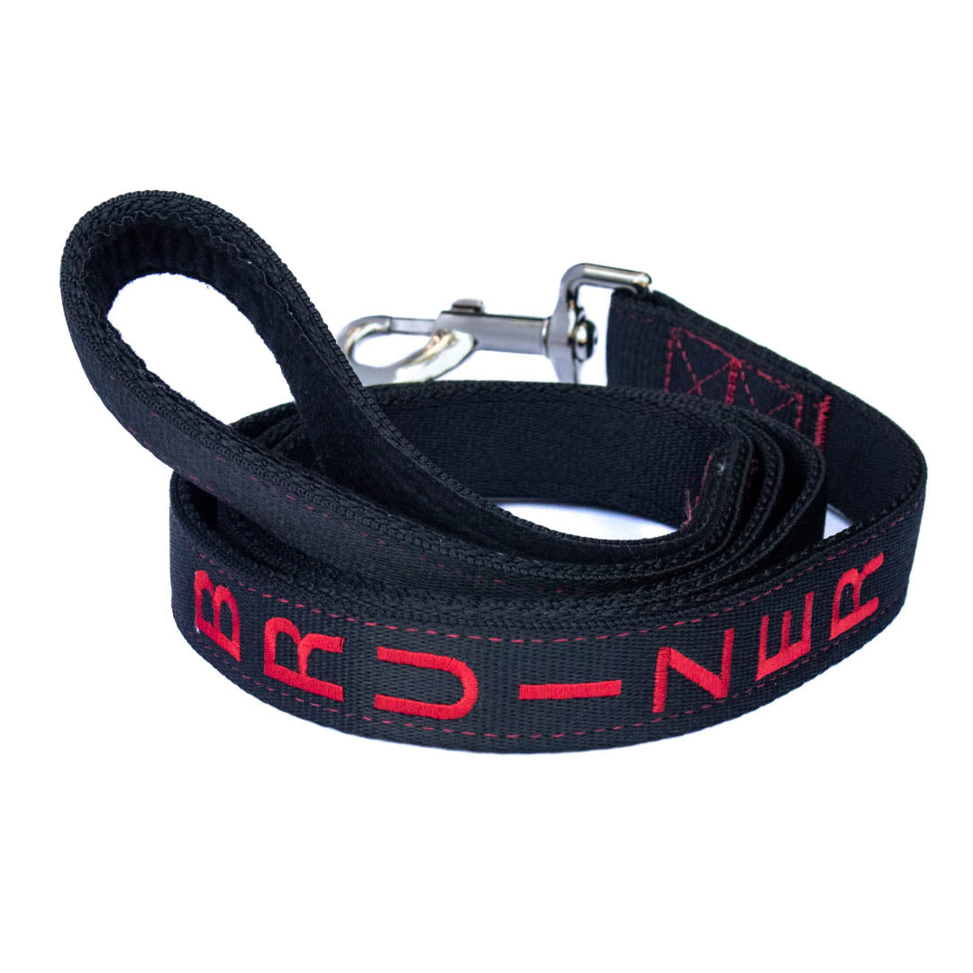 Kanine Chic Platinum Dog Collar