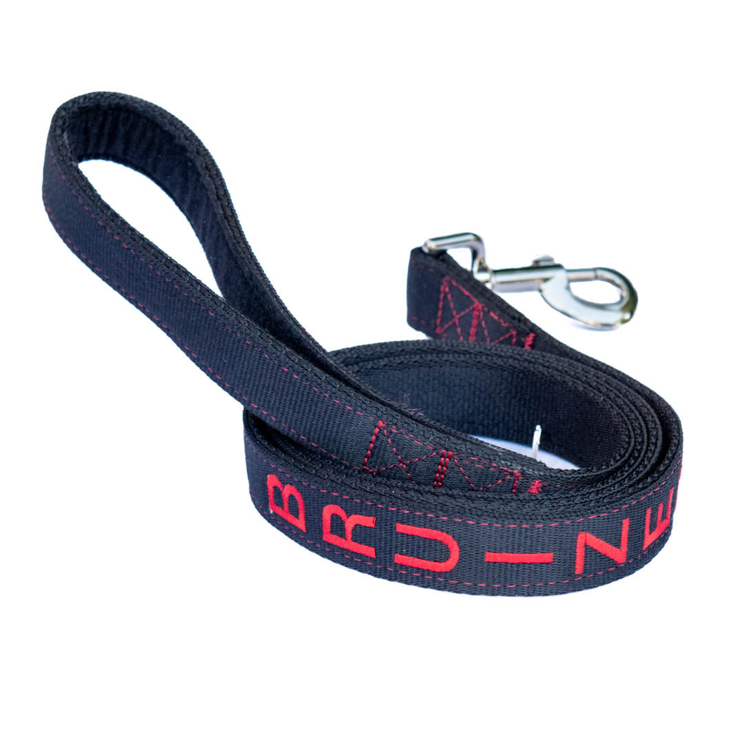 Kanine Chic Platinum Leash