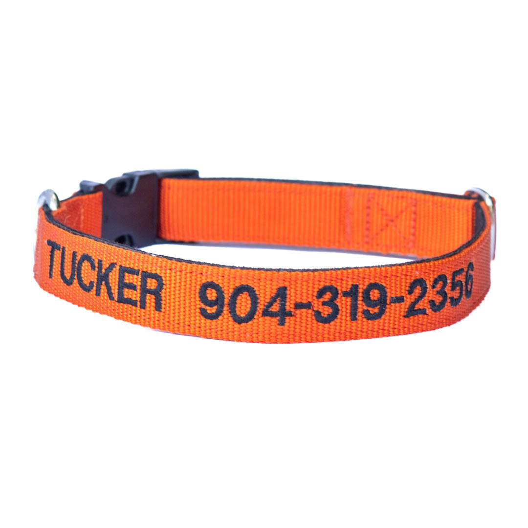 Kanine Chic Dog Collars